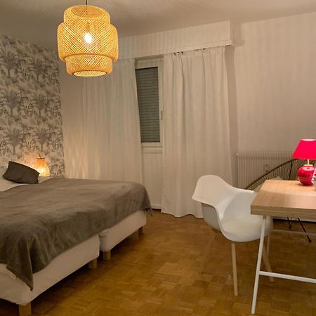 Appartement Centre-Ville Колмар Екстериор снимка