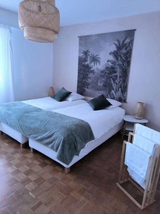 Appartement Centre-Ville Колмар Екстериор снимка
