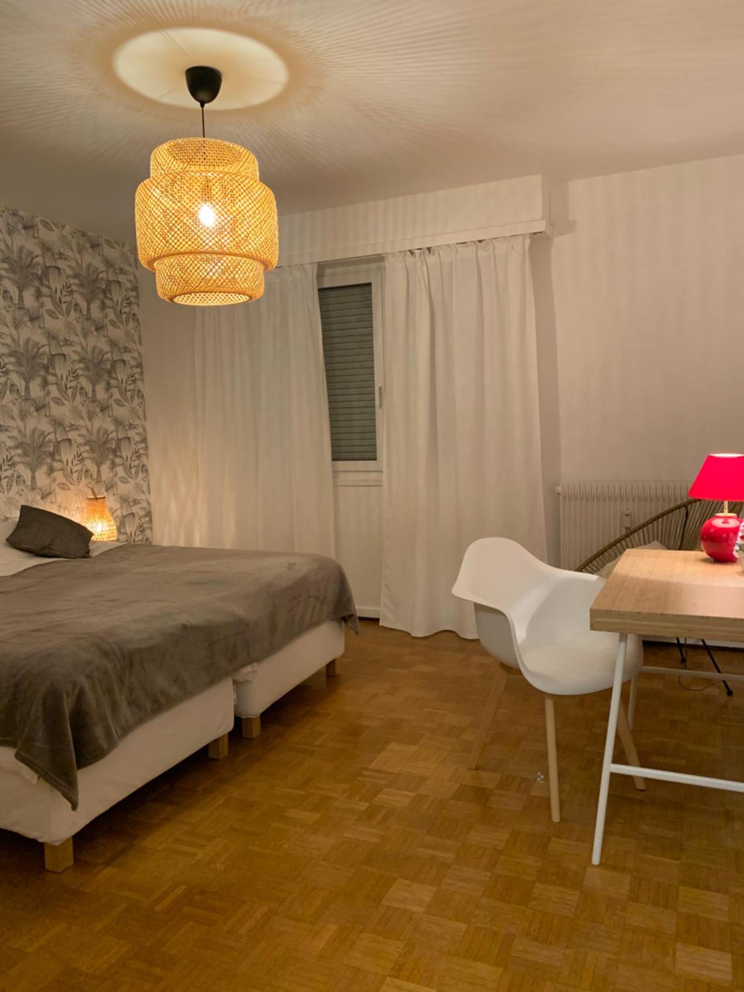 Appartement Centre-Ville Колмар Екстериор снимка